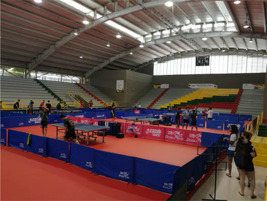 2017 Чемпионат ITTF-Panam